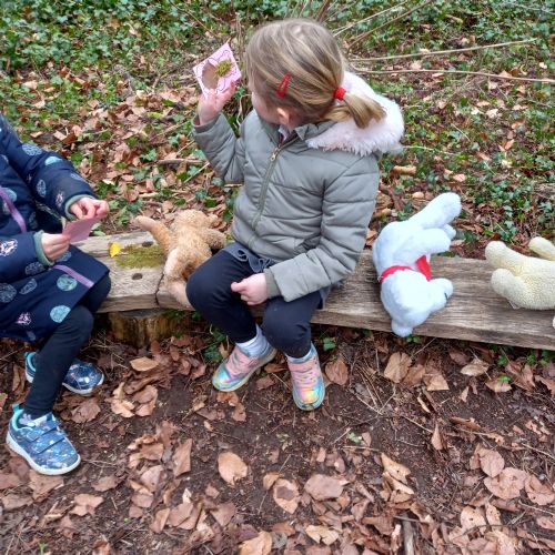 Woolley Firs