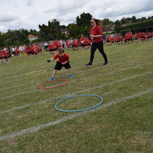 DSC0242