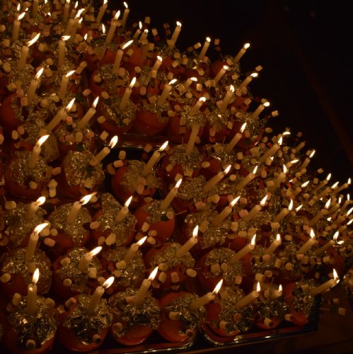 DSC0026