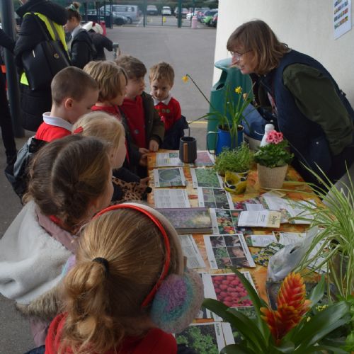 Eco Conference