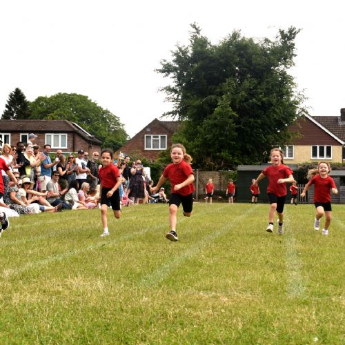 1DSC0293copy